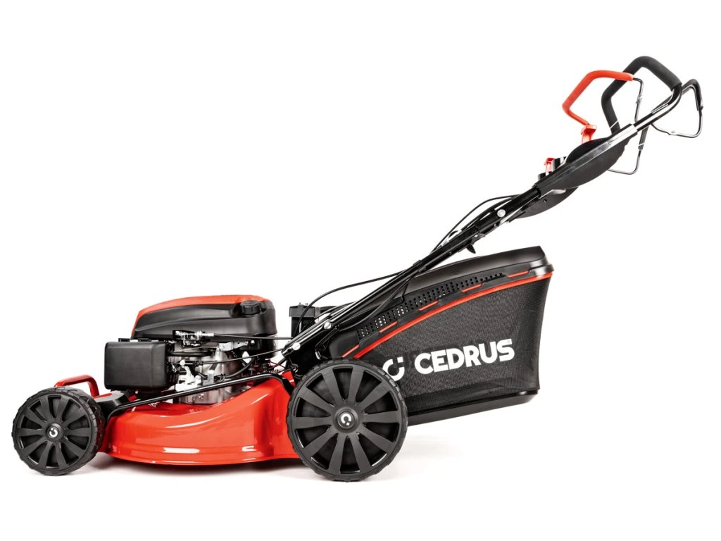 12155-9_cedks53sv-e-2025-10 Cedrus KS53SV-E - Bild 1