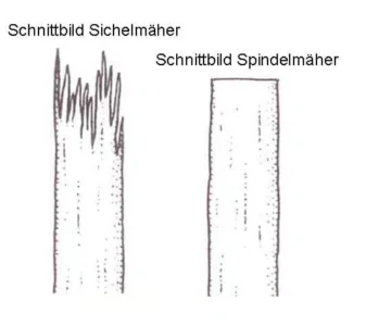Hand-Spindelmäher “Vintage” – Bild 7